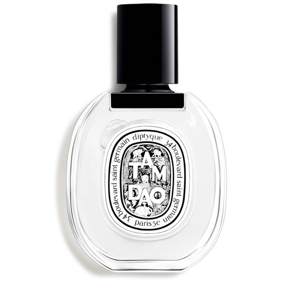 Notes Boisées de Tam Dao : Analyse Olfactive Complète