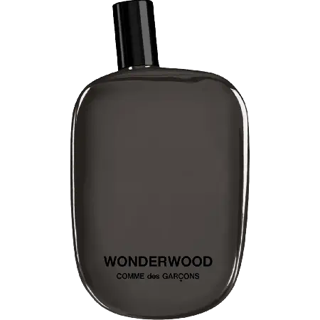 Wonderwood Comme des Garçons : Dissection d&rsquo;une Forêt Dense