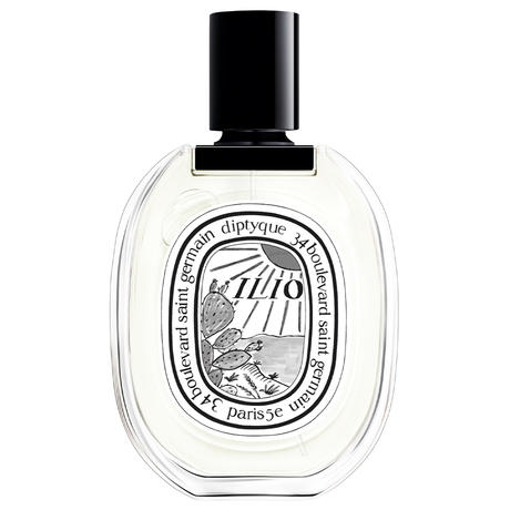 Philosykos : Anatomie d&rsquo;une Figue Boisée Solaire